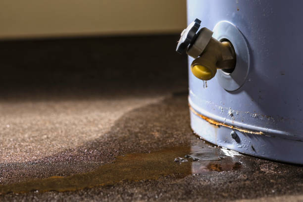 Best Water damage restoration services  in Waukomis, OK
