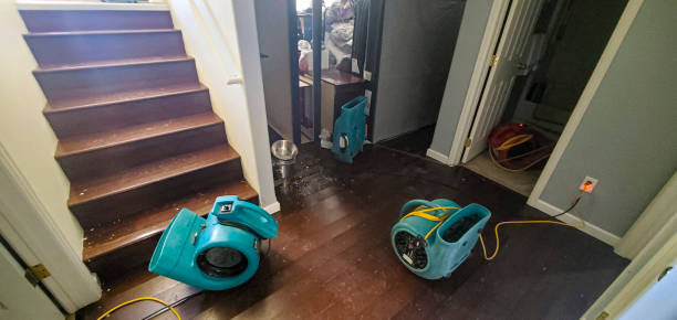 Best Ceiling water damage repair  in Waukomis, OK