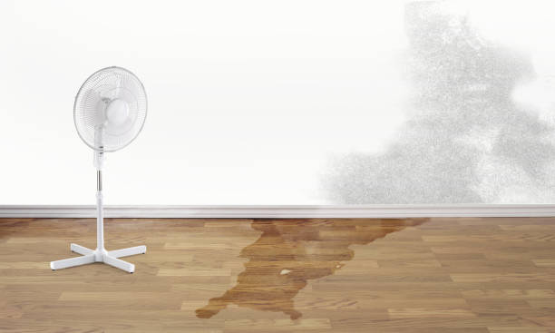 Best Carpet water damage restoration  in Waukomis, OK