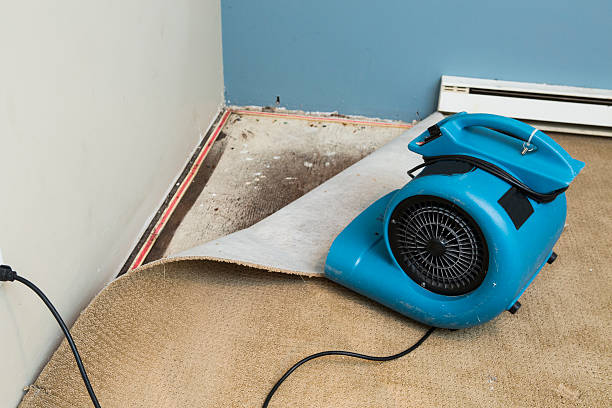 Best Sewage cleanup and water damage restoration  in Waukomis, OK